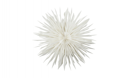 REEF Stjerne 50cm Off-White