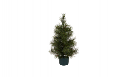 PINUS Juletre L 