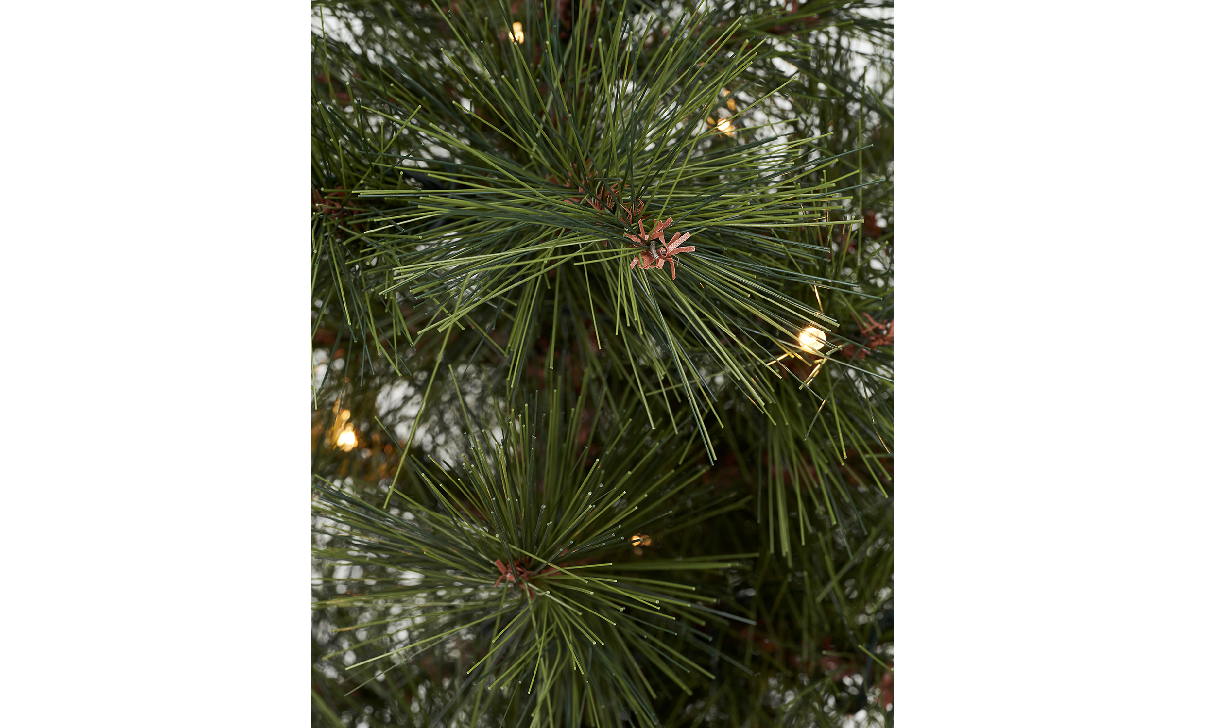 PINUS Juletre L 