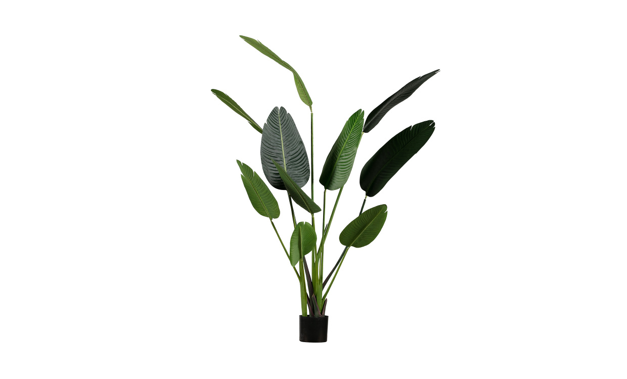 STRELITZIA Kunstig plante 164cm i gruppen Dekorasjon / Annen dekorasjon hos Sofas & more (373819-G)