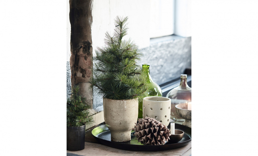 PINUS Juletre L i gruppen Belysning / Julebelysning hos Sofas & more (260250301)