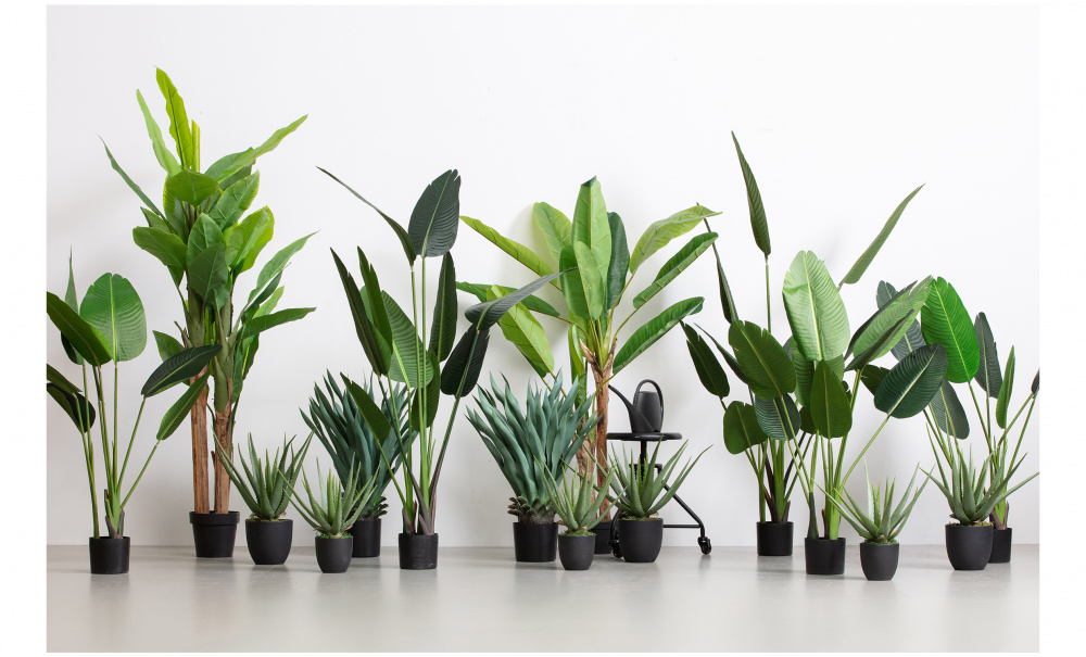 STRELITZIA Kunstig plante 108cm i gruppen Dekorasjon / Annen dekorasjon hos Sofas & more (373818-G)