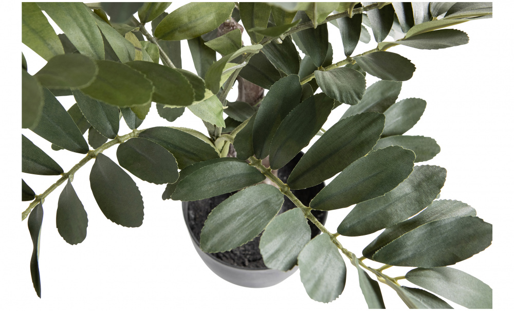 ZAMIA Kunstig plante 76cm i gruppen Dekorasjon / Annen dekorasjon hos Sofas & more (377207-G)